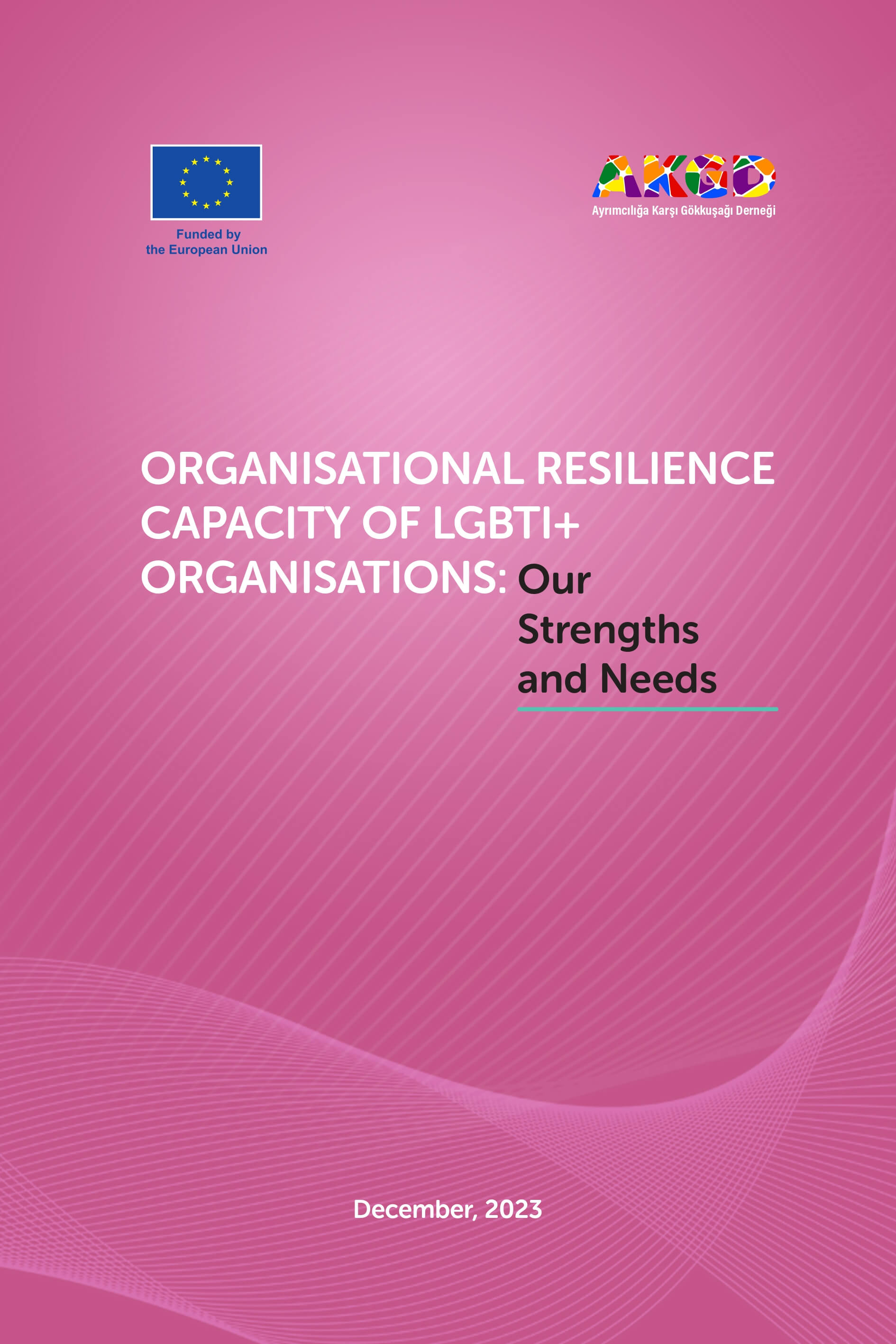Organisational Resilience Capacity of LGBTI+ Organisations: Our Strengths and Needs - Rainbow Association Against Discrimination